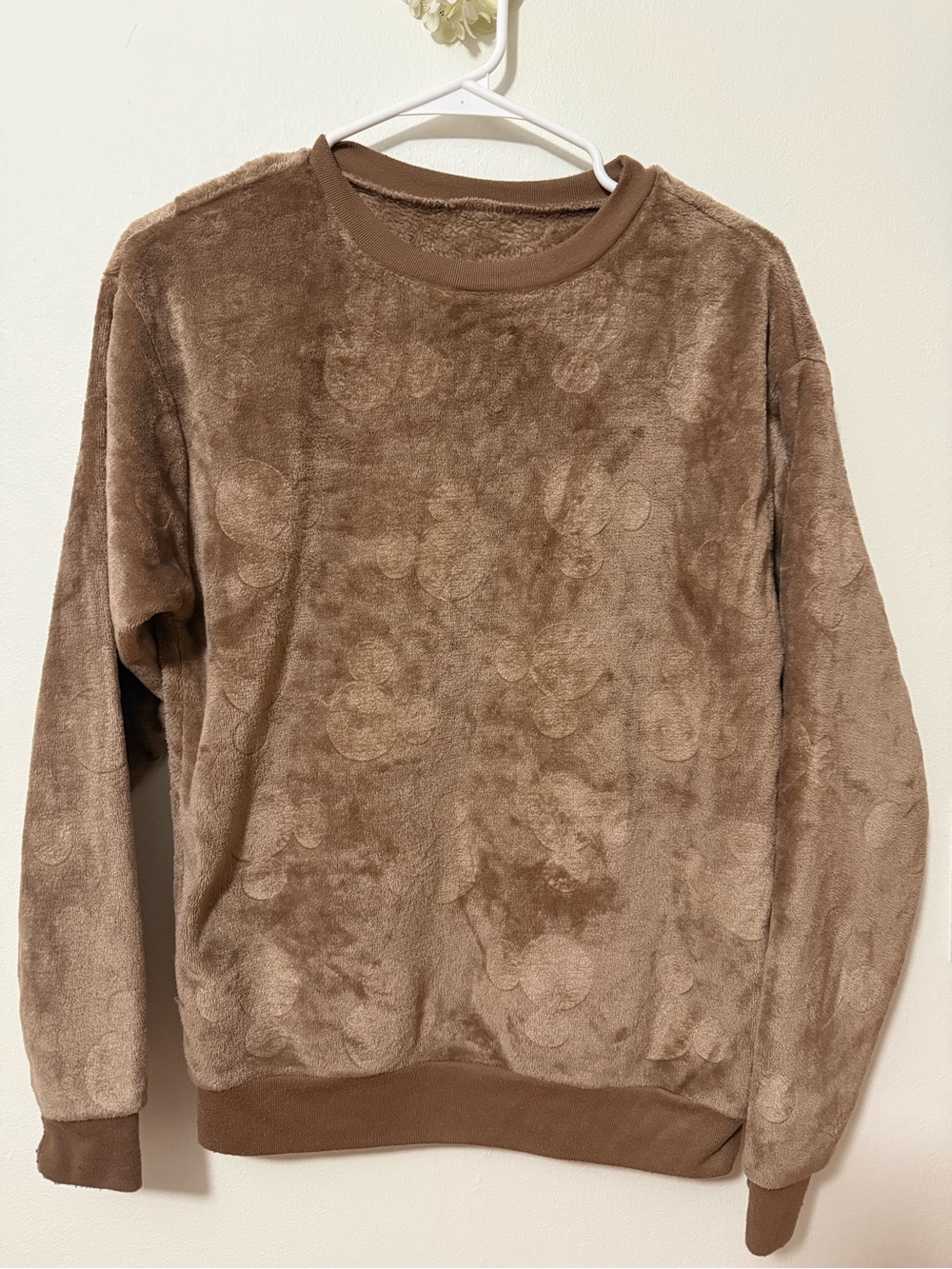 Women's Plush Crewneck Sweater in Brown